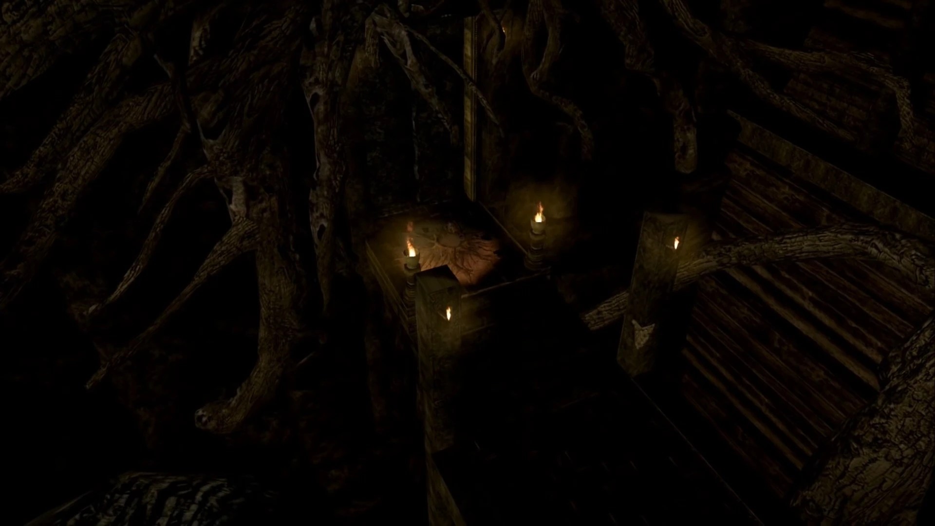 Dark Souls - The Movie (snapshot 29).jpg