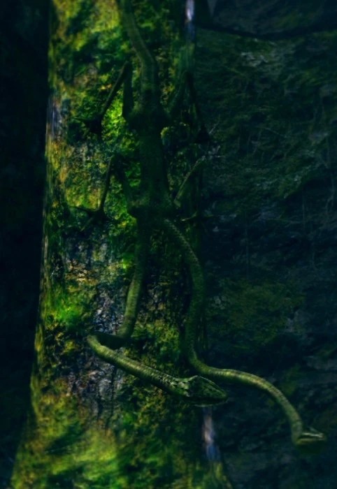 Древесная ящерица