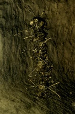 Костяная башня