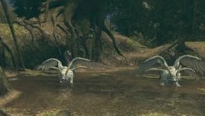 Священный Сад