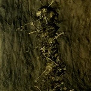 Костяная башня