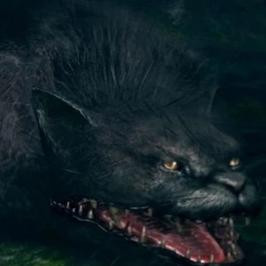 Черная кошка