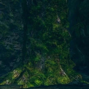 Одержимое дерево