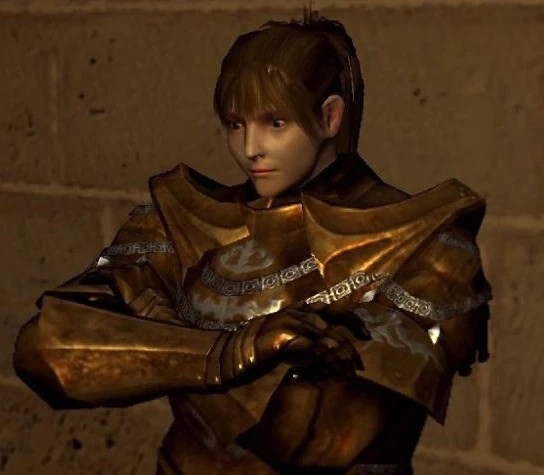 Рыцарь без шлема