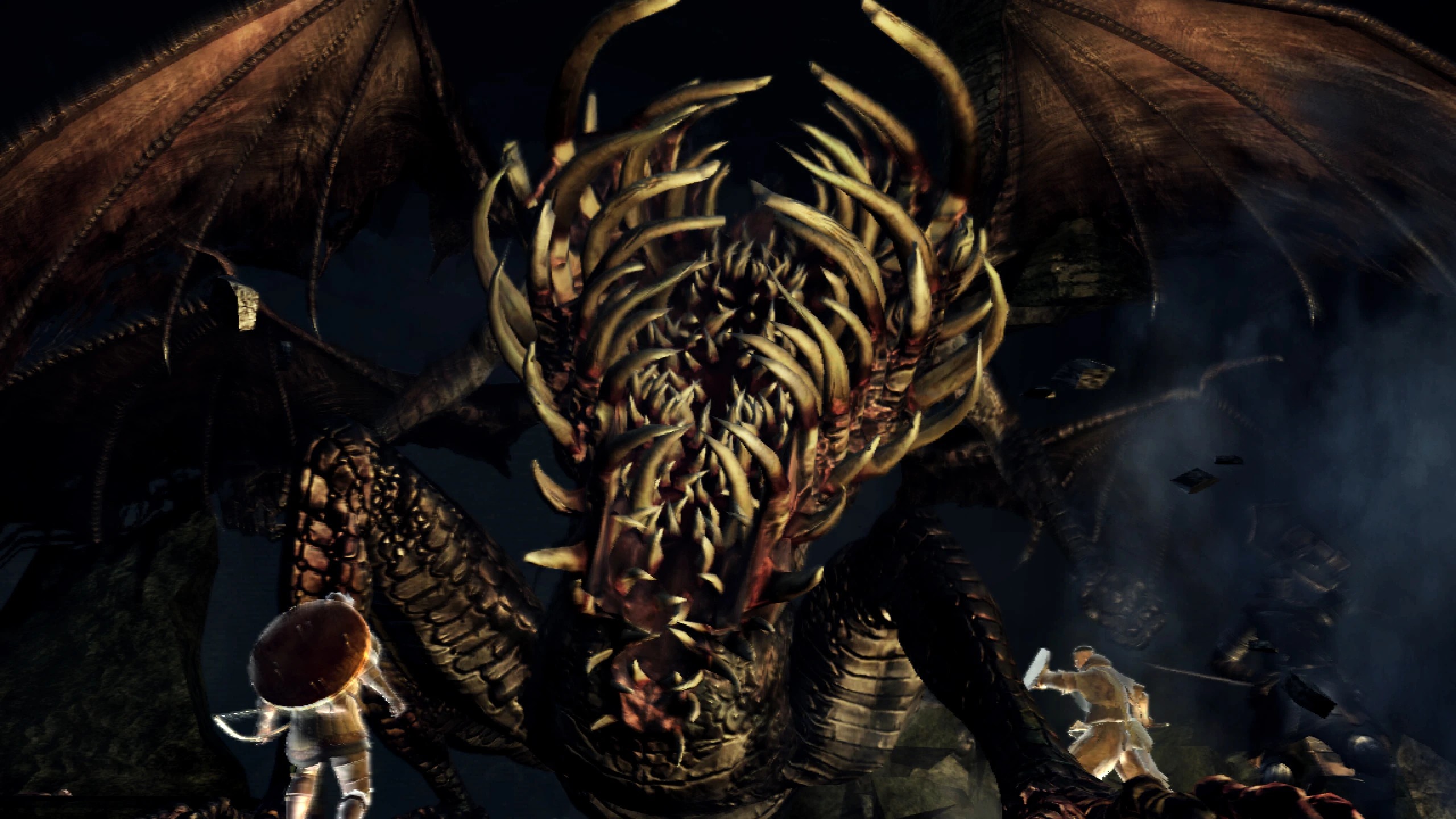 DS1 promotional screenshot (Gaping Dragon co-op).jpg